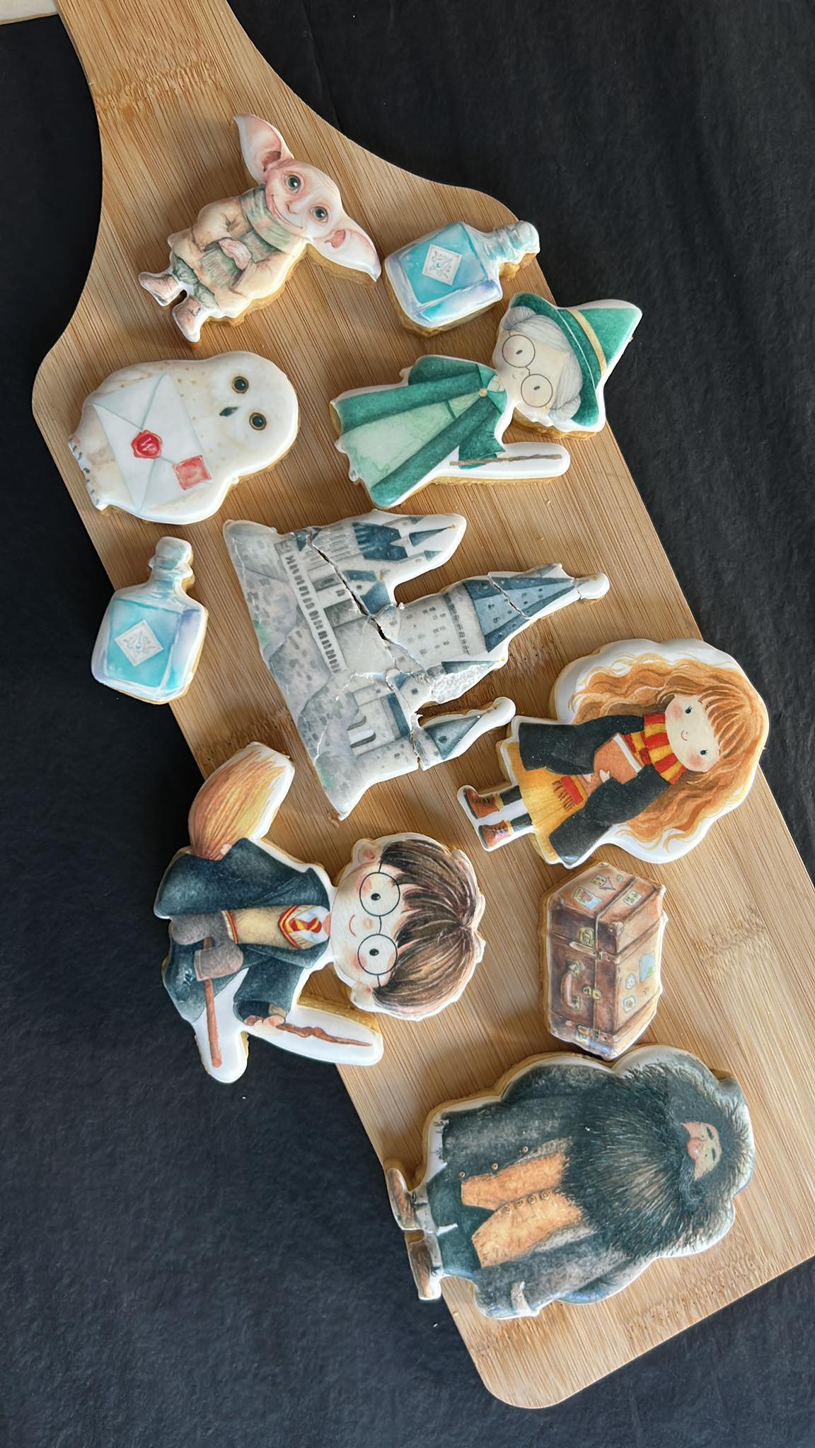 Harry Potter Inspired Cookie Set