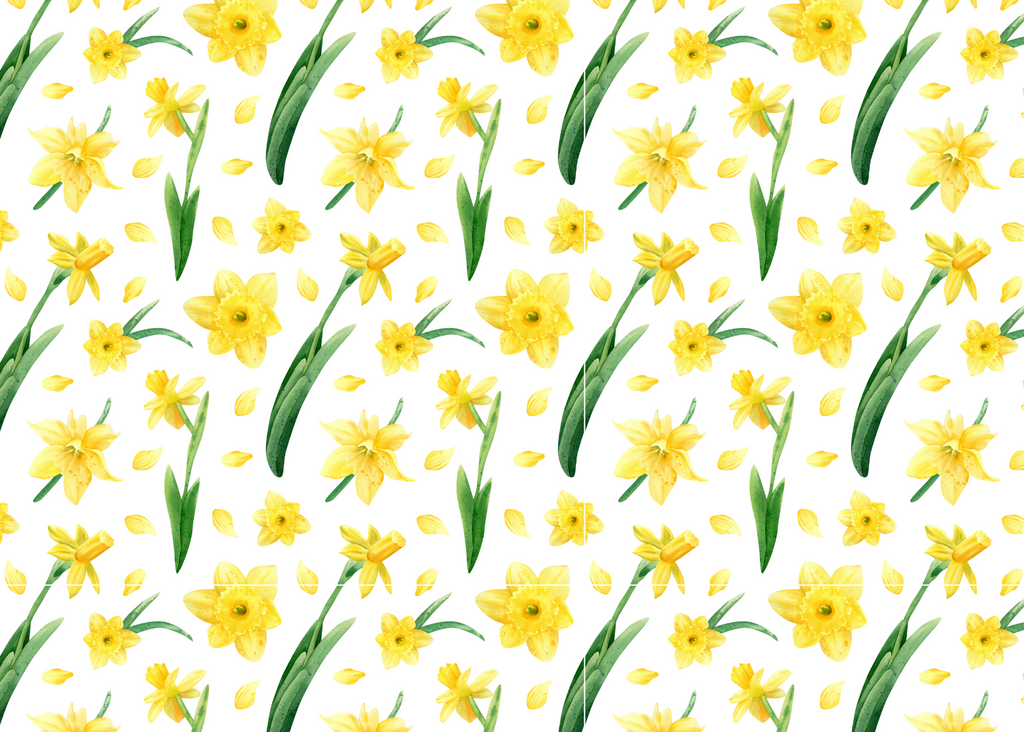 Pattern of yellow daffodils and green leaves on a white background