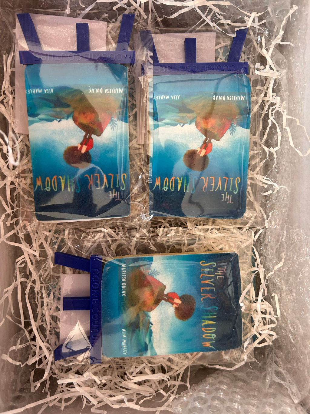 Book Launch Package 2