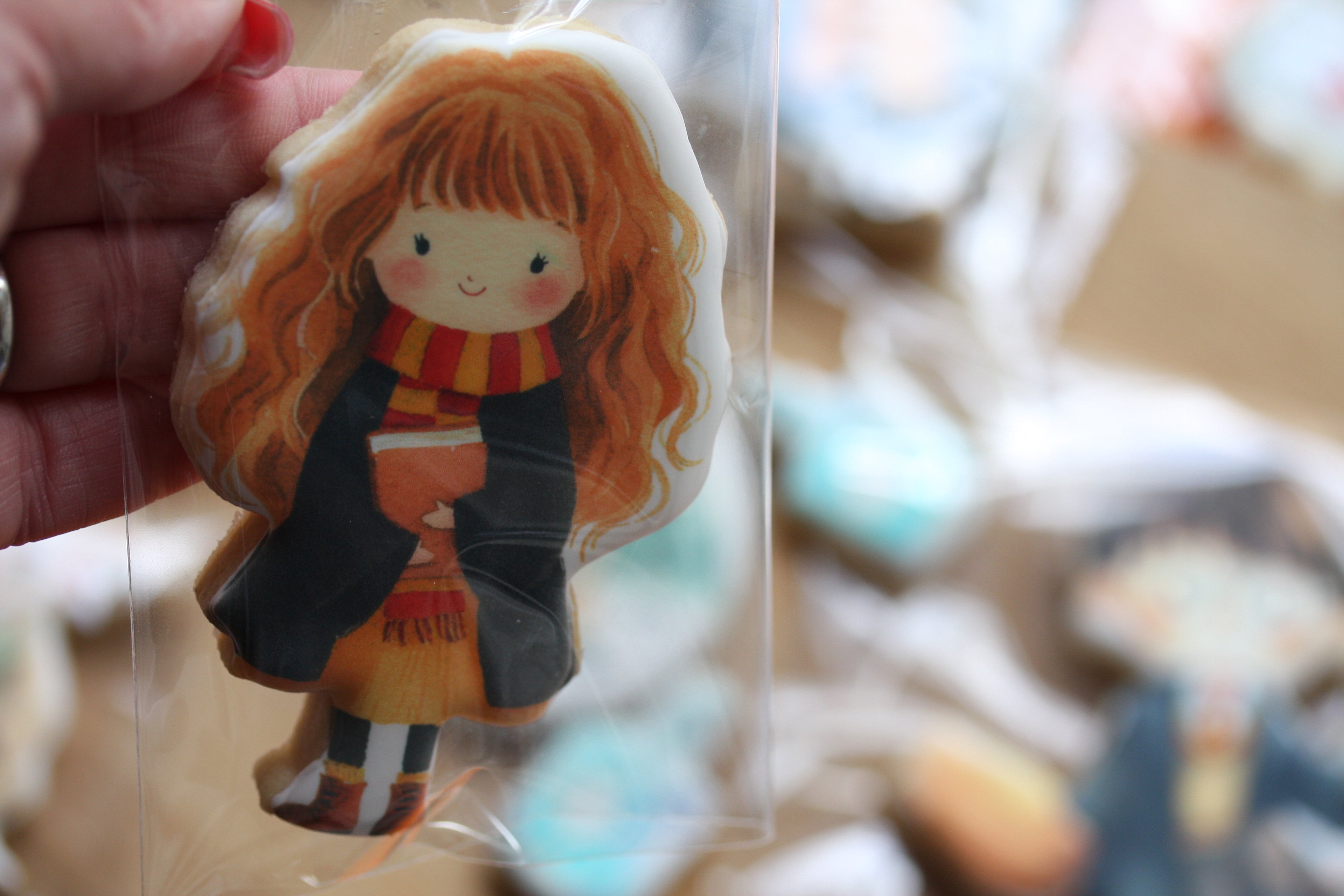 Harry Potter Inspired Gift Box