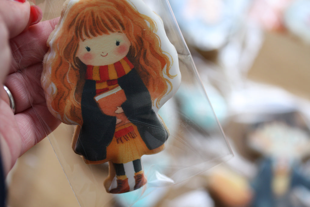 Harry Potter Inspired Gift Box