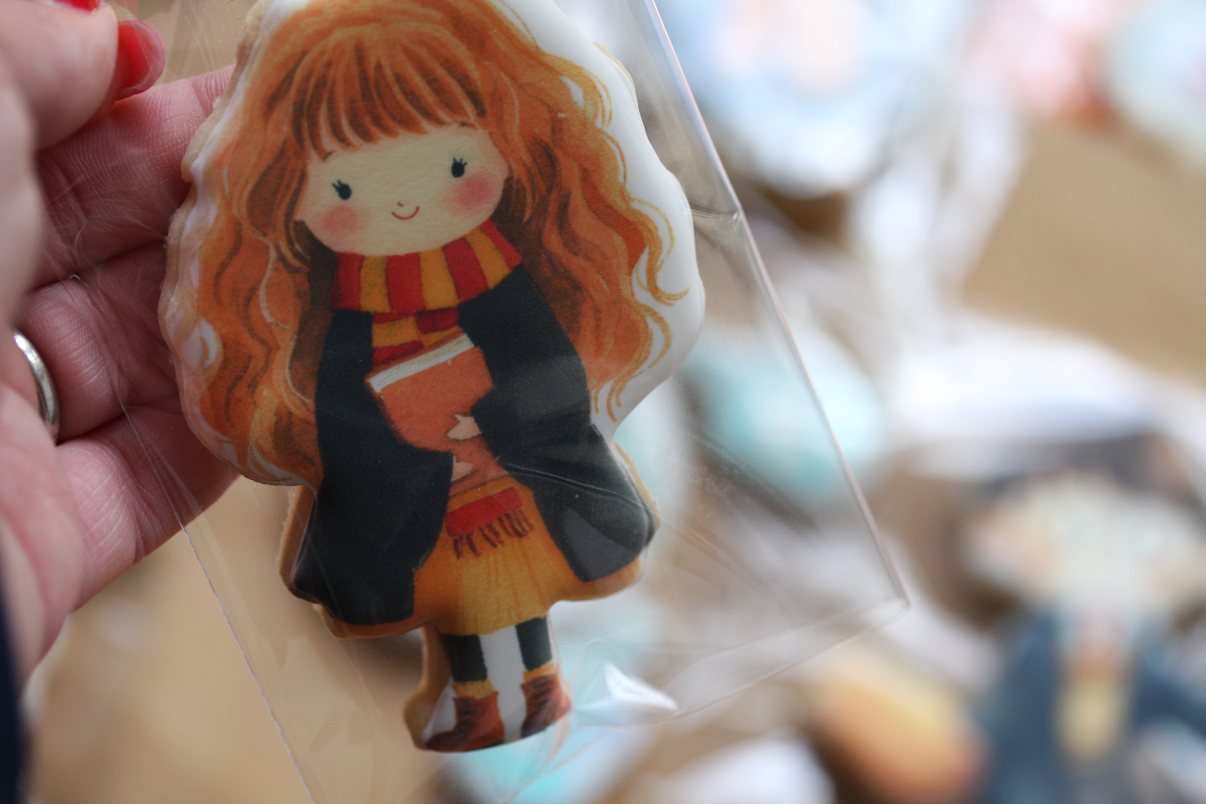 Harry Potter Inspired Gift Box