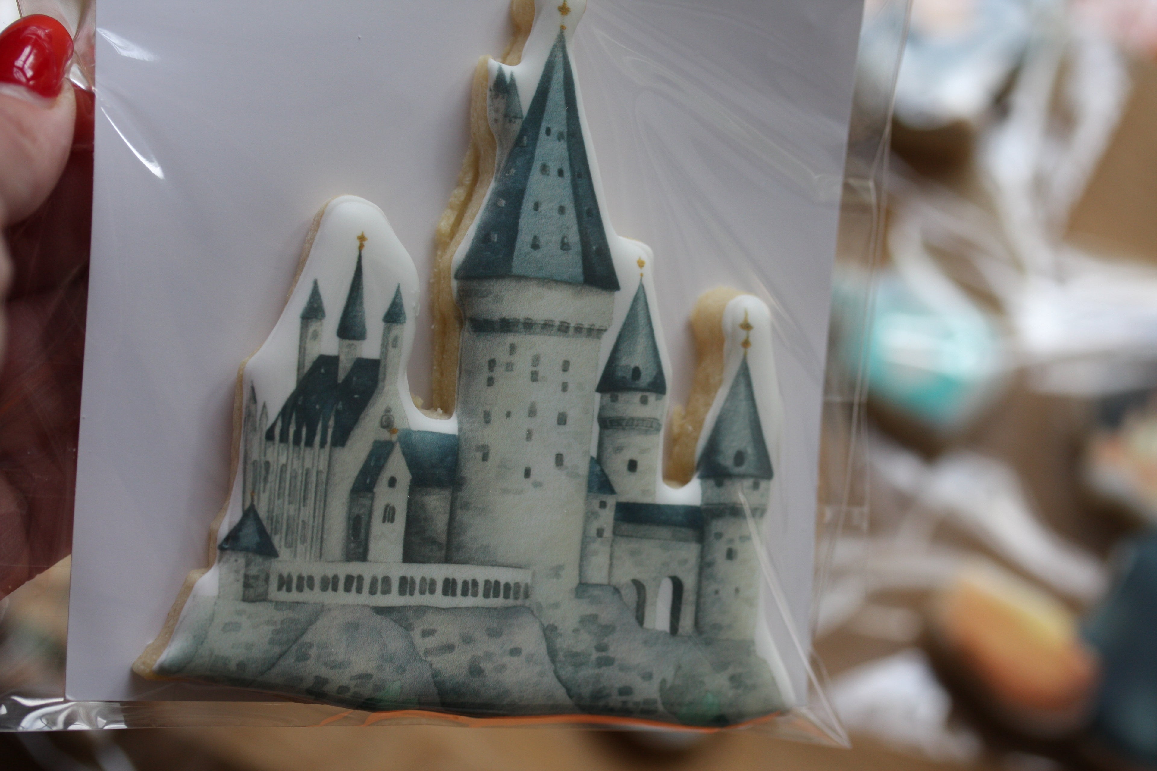 Harry Potter Inspired Gift Box