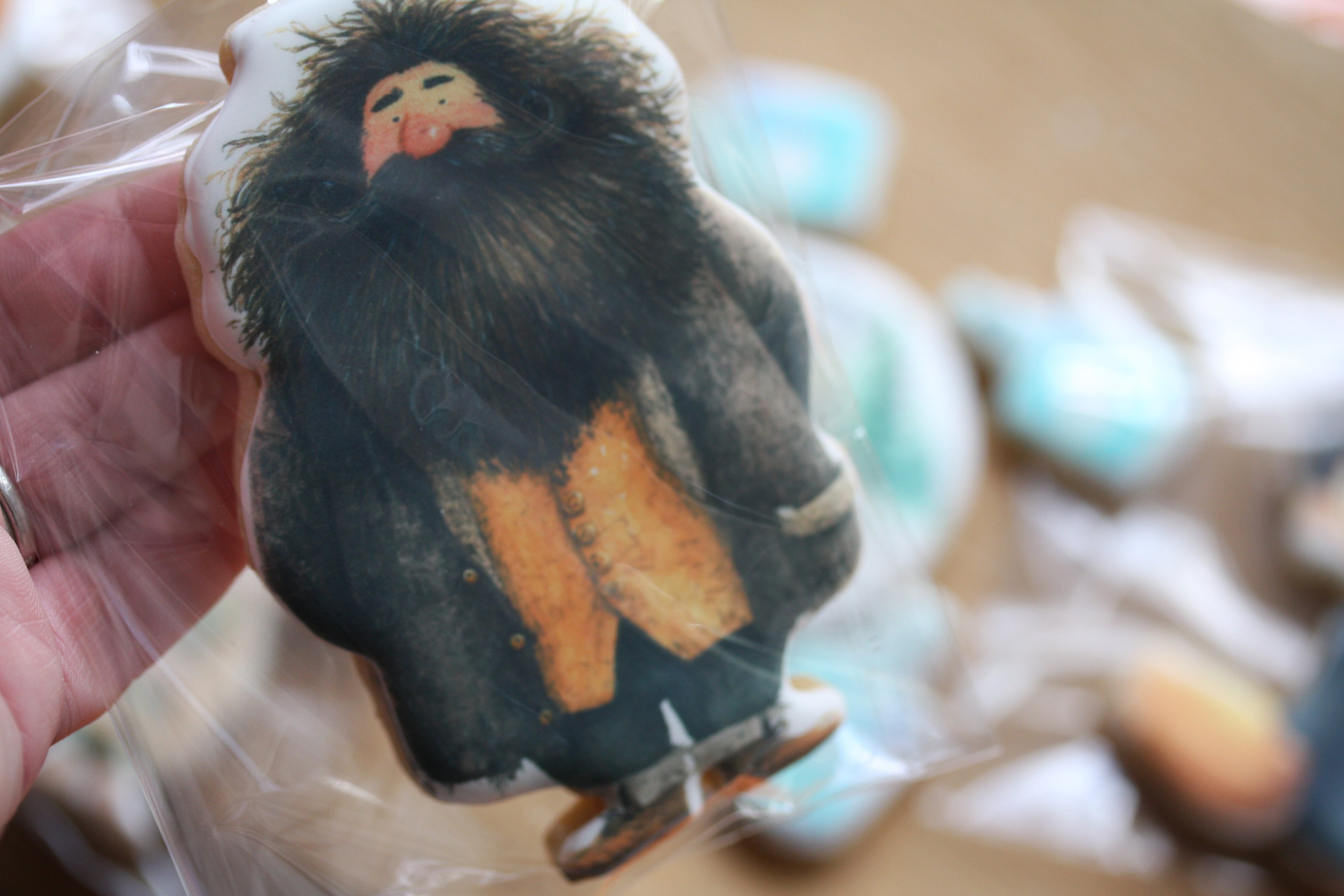 Harry Potter Inspired Gift Box