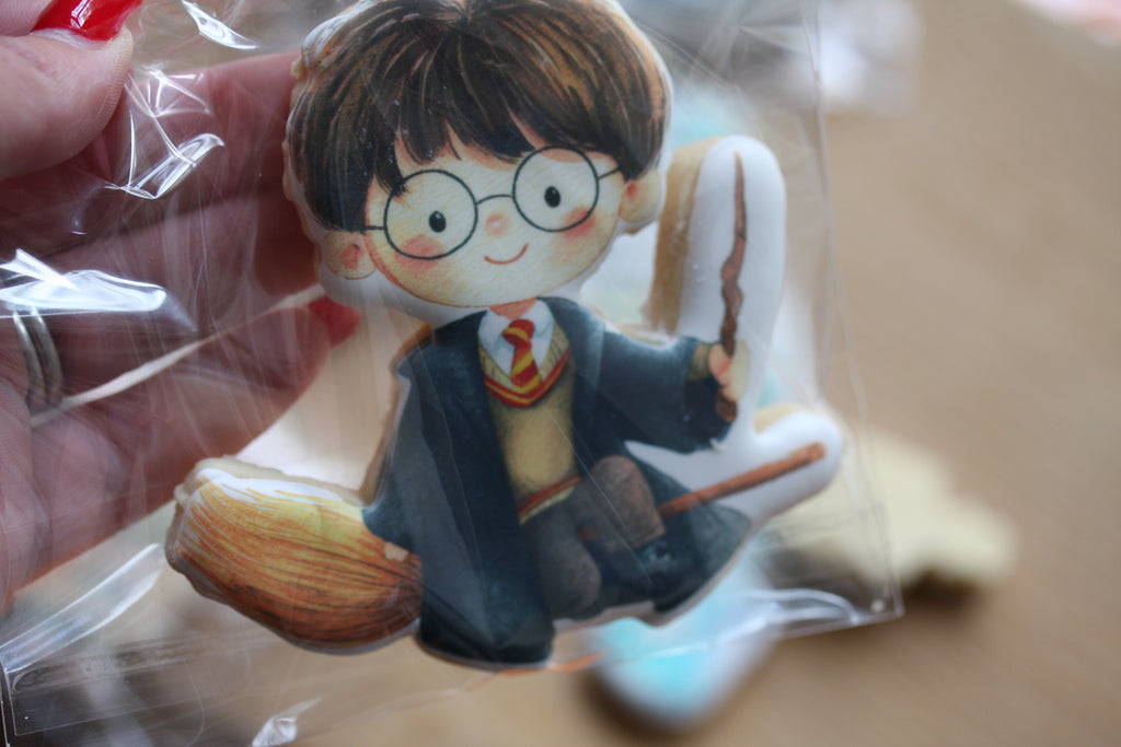 Harry Potter Inspired Gift Box