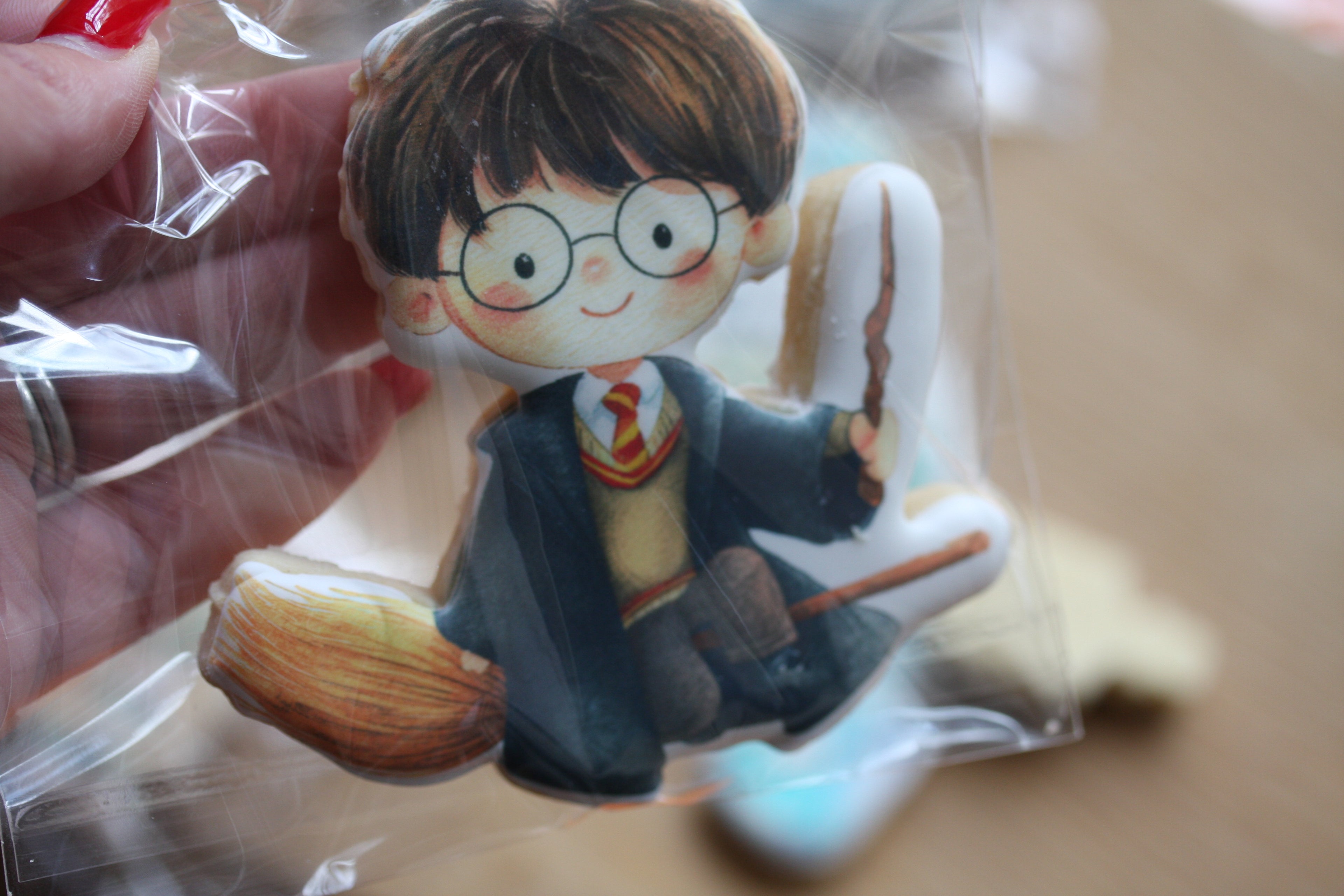 Harry Potter Inspired Gift Box