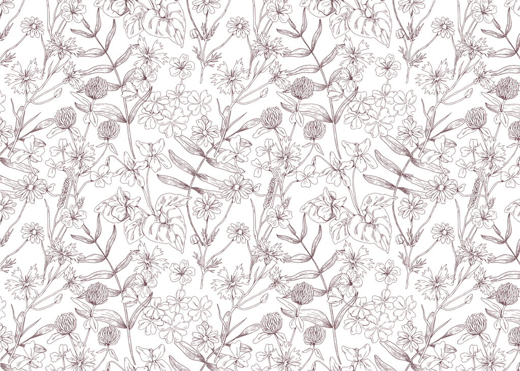 Congratulations Cookies- Personalisble