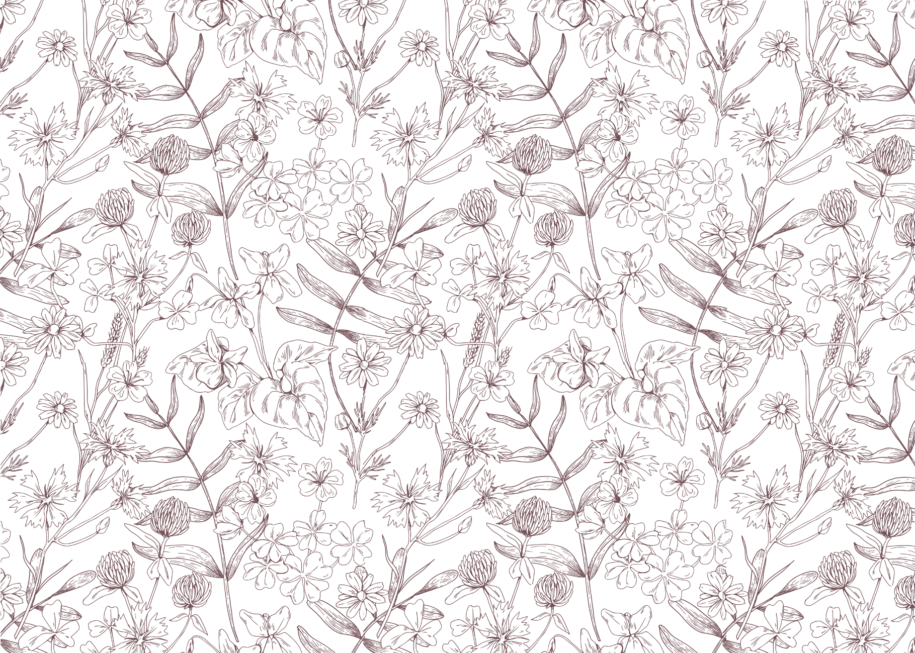 Congratulations Cookies- Personalisble